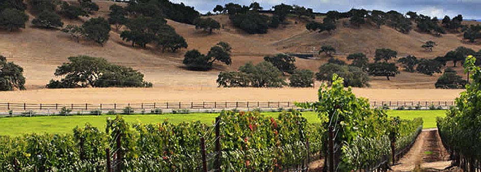 Wineries and Vineyards Real Estate